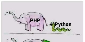 Python/Django como PHP son excelentes opciones para el desarrollo web.
